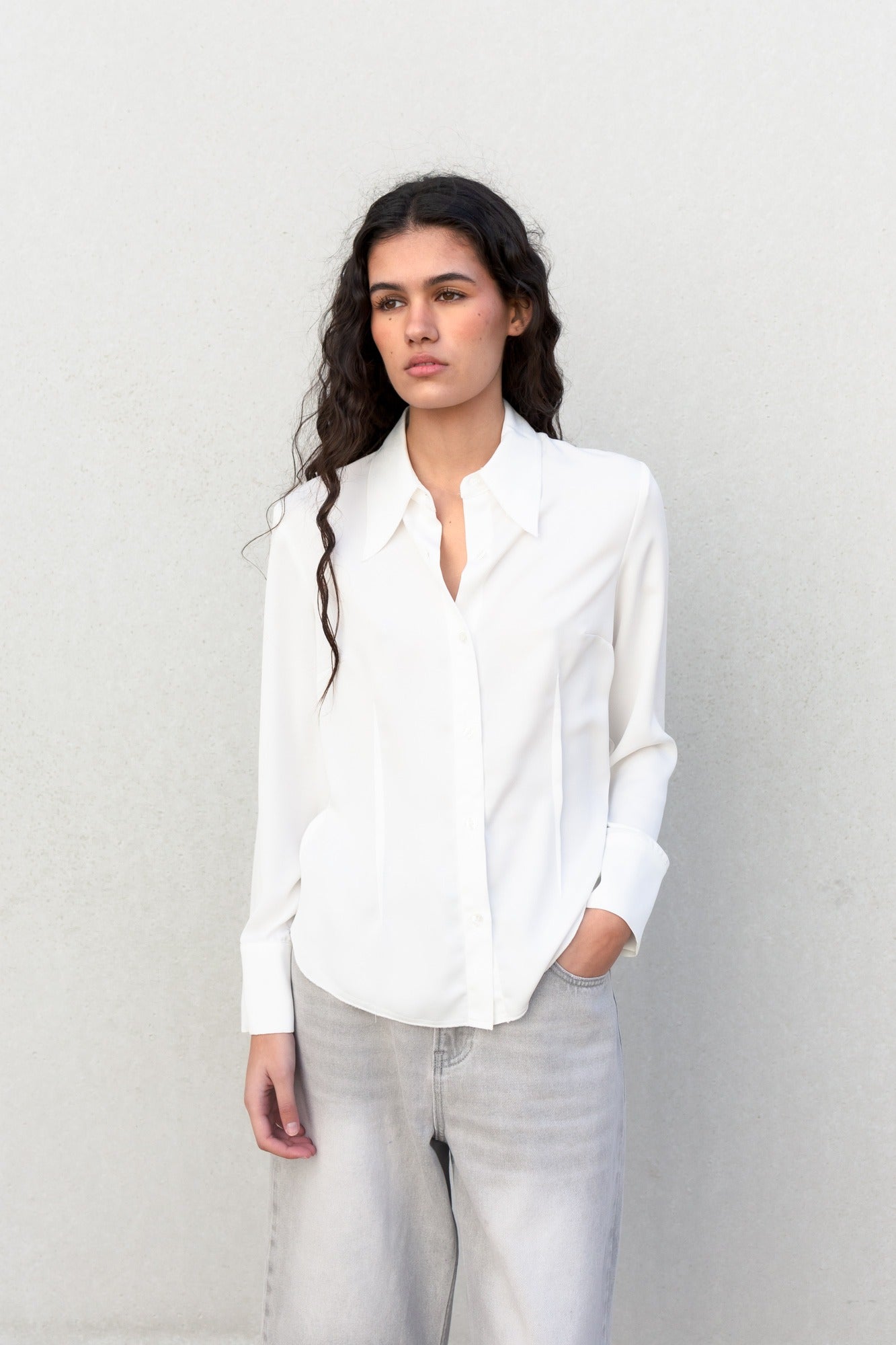 Camisa entallada pinzas
